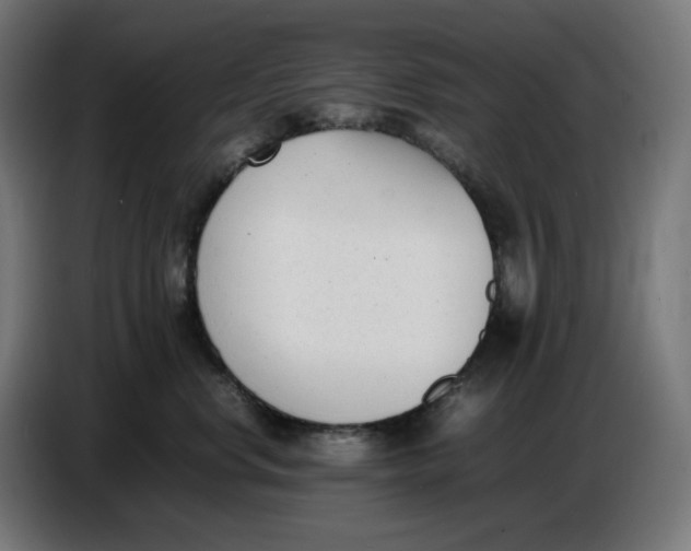 X0000086720668200705041329