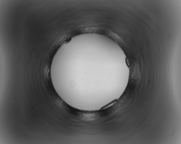 X0000086720669200705041329