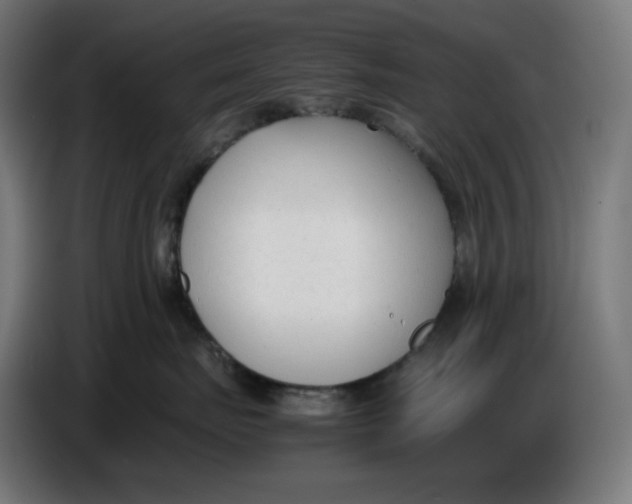 X0000086720671200705041329