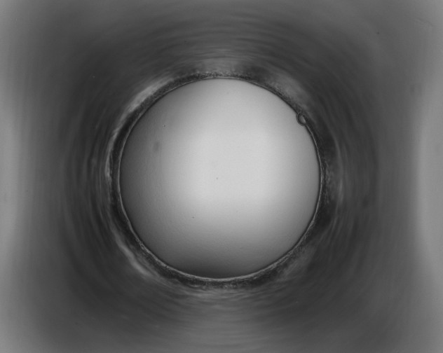 X0000086720674200705041328