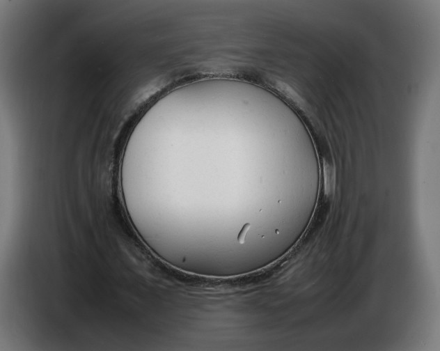 X0000086720675200705041328