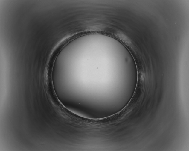 X0000086720676200705041328