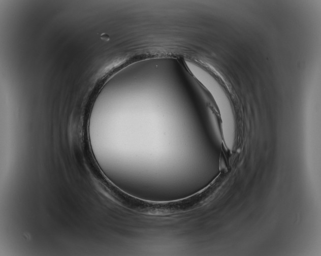 X0000086720677200705041328
