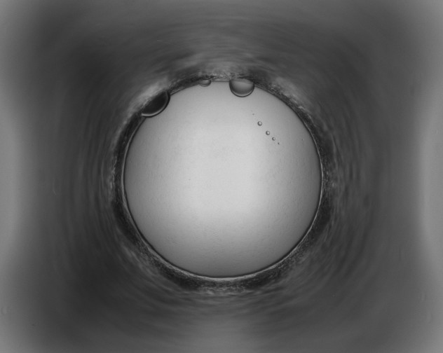 X0000086720679200705041328