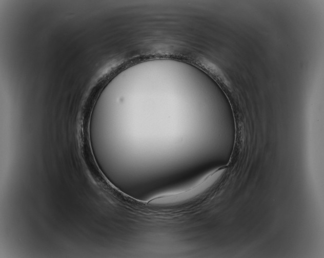 X0000086720680200705041328