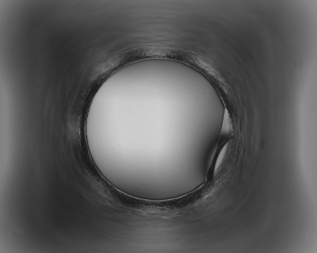 X0000086720681200705041328