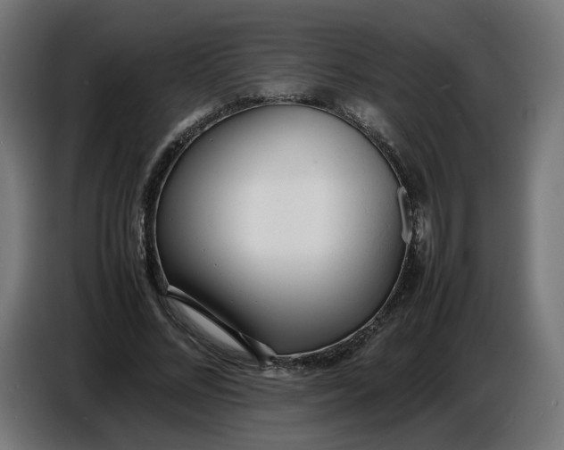 X0000086720684200705041328