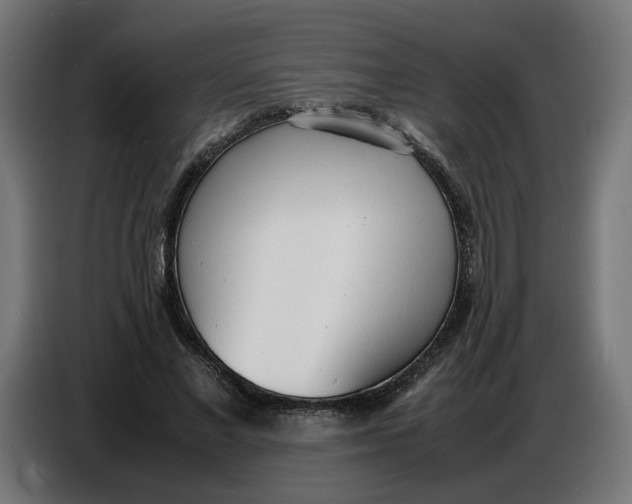 X0000086720685200705041328