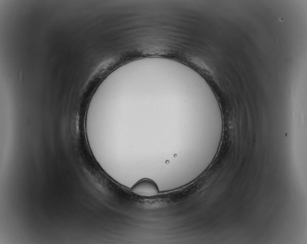 X0000086720686200705041328