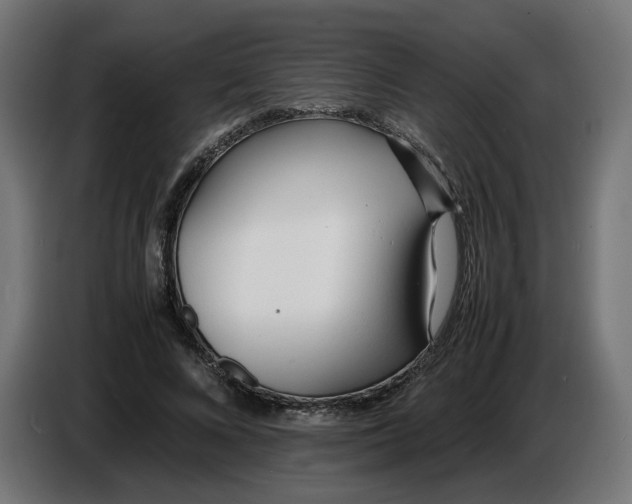 X0000086720688200705041328
