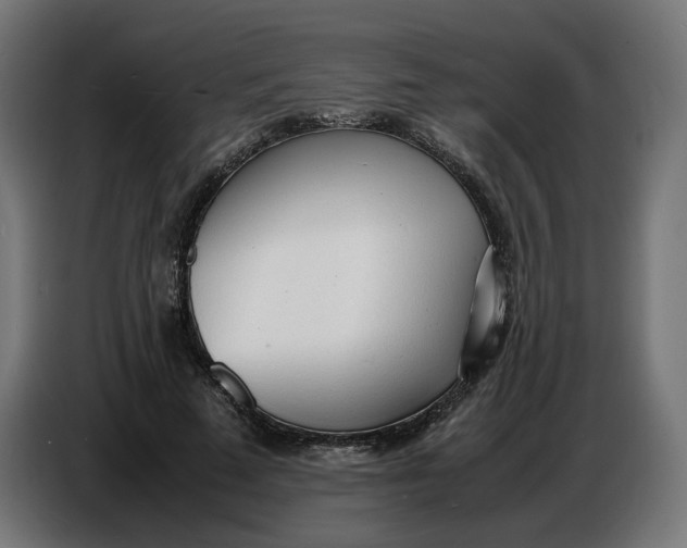 X0000086720689200705041328