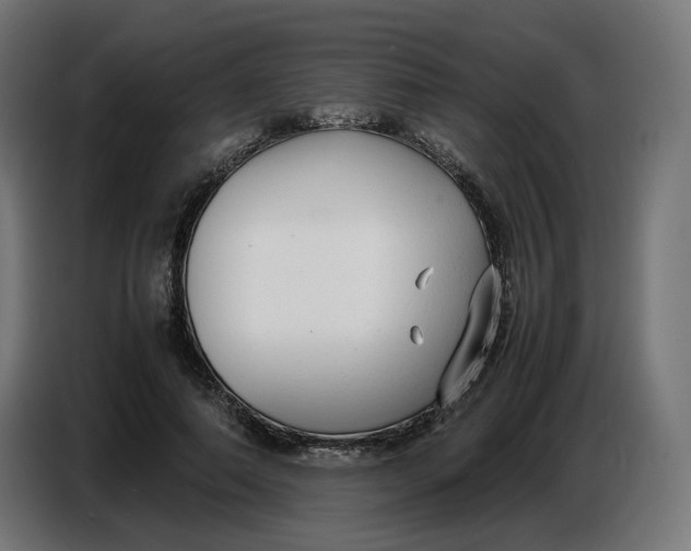 X0000086720690200705041328
