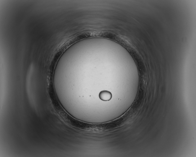 X0000086720691200705041328