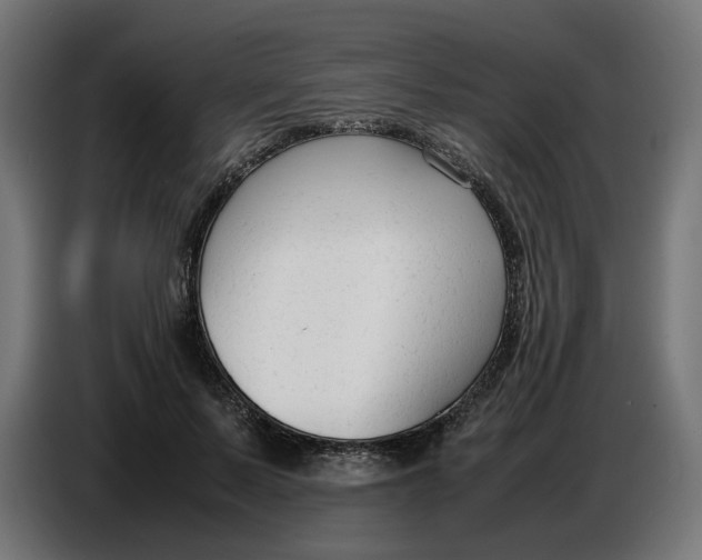 X0000086720695200705041328