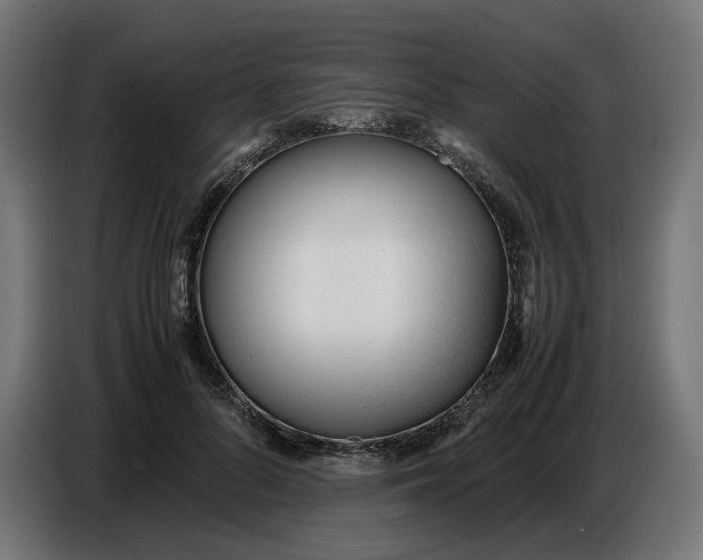 X0000086720696200705041328