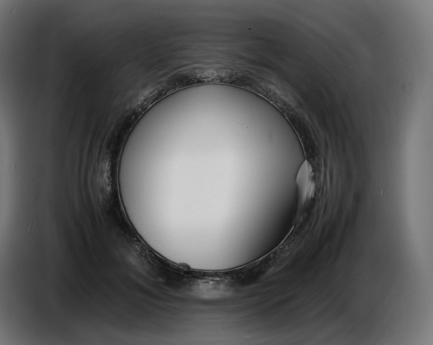 X0000086720700200705041328