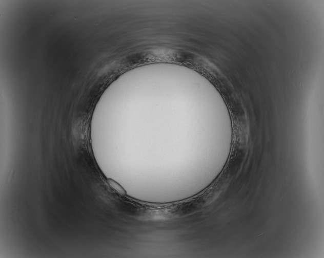 X0000086720701200705041328