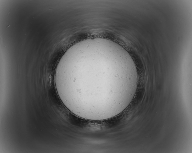 X0000086720703200705041328
