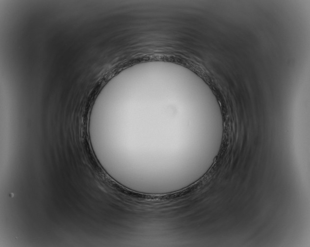 X0000086720704200705041328