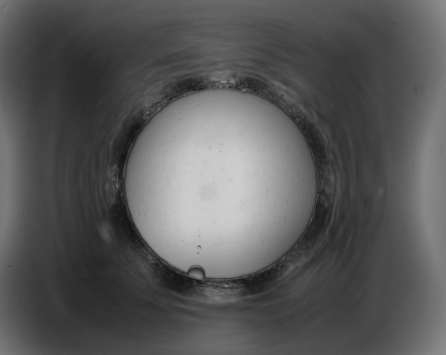X0000086720707200705041328