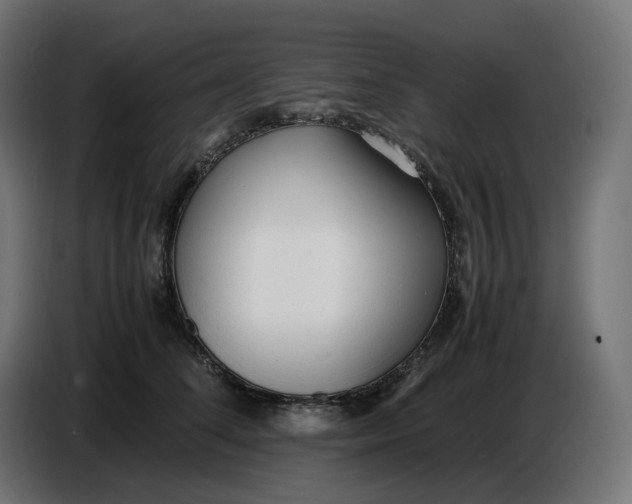 X0000086720708200705041328
