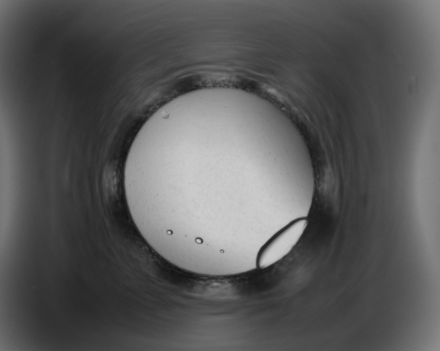 X0000086720715200705041328