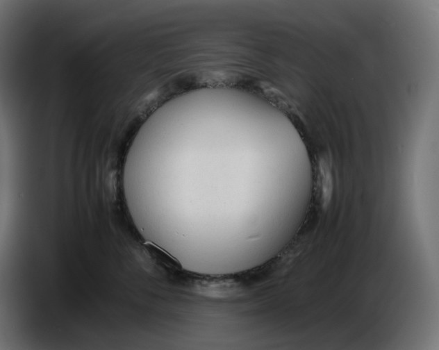 X0000086720716200705041328