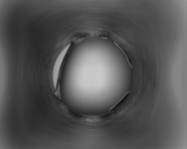 X0000086720720200705041327