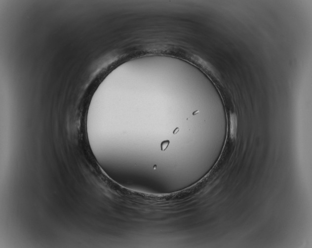 X0000086720723200705041327