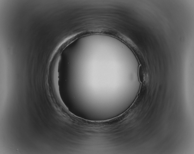 X0000086720724200705041327