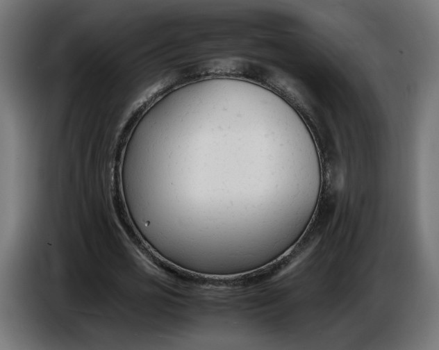 X0000086720725200705041327