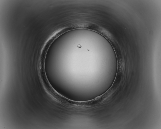X0000086720726200705041327