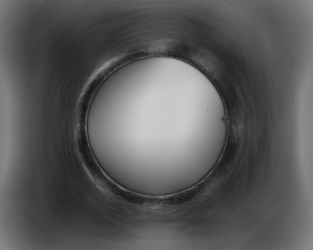 X0000086720728200705041327