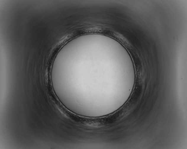 X0000086720729200705041327