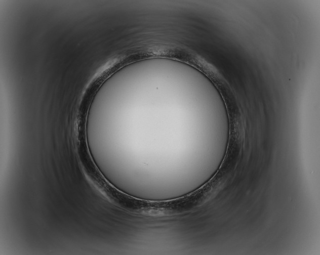 X0000086720730200705041327