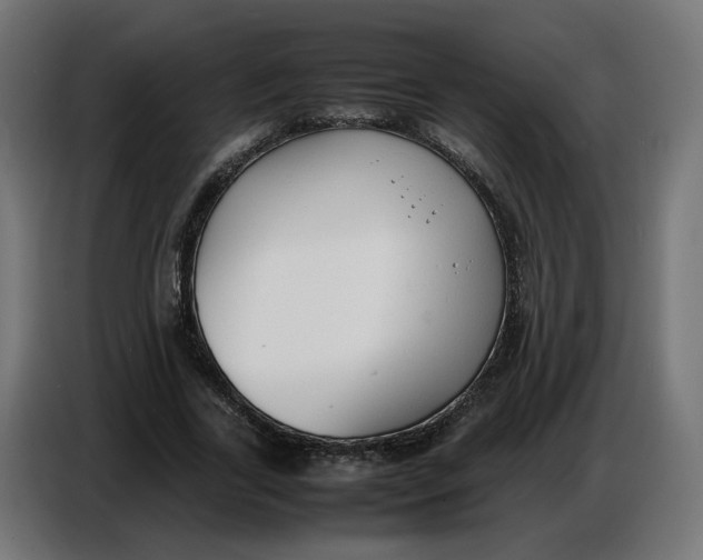 X0000086720731200705041327