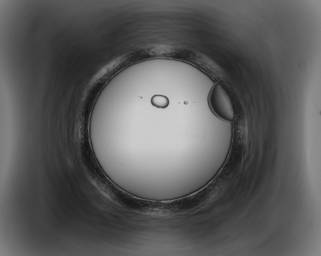X0000086720732200705041327