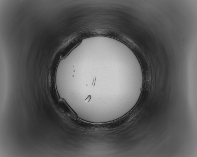X0000086720734200705041327