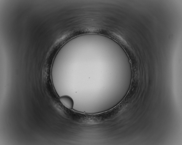 X0000086720736200705041327