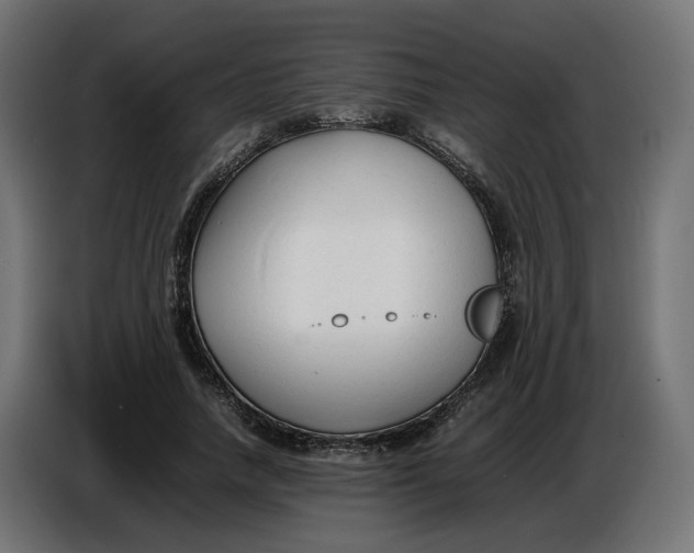 X0000086720738200705041327