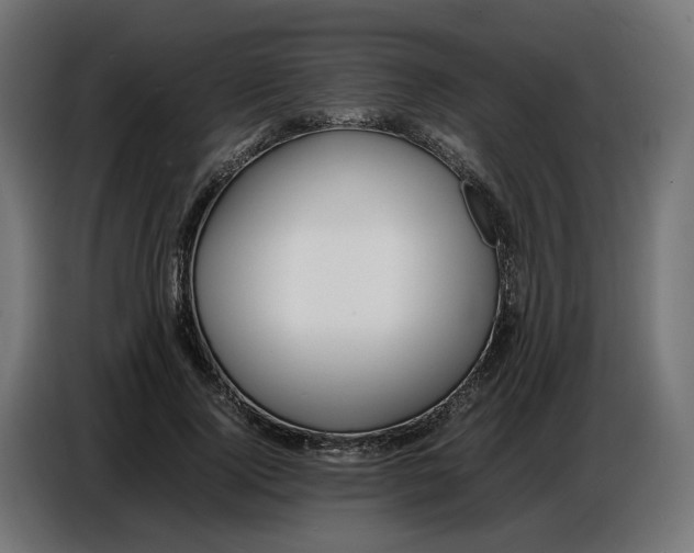 X0000086720740200705041327