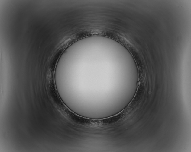 X0000086720744200705041327
