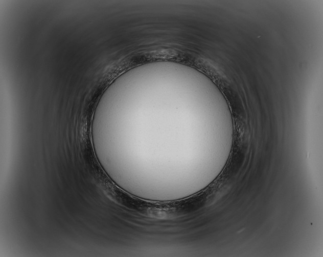 X0000086720745200705041327