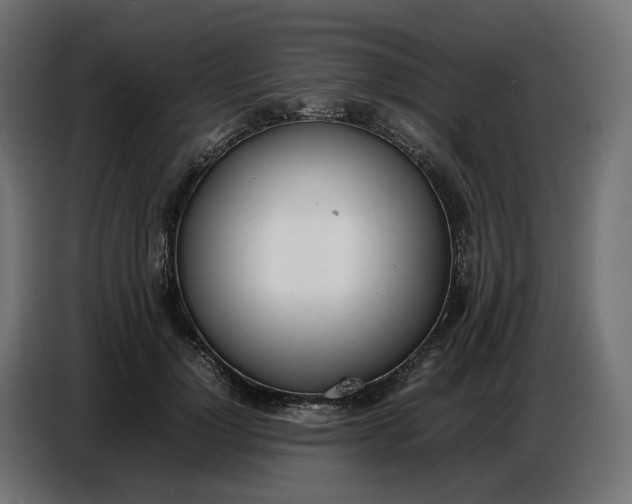 X0000086720748200705041327
