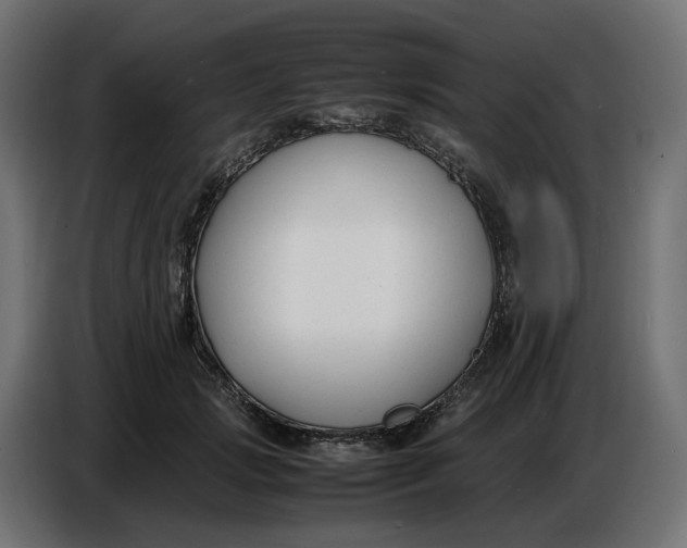X0000086720749200705041327