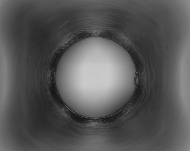 X0000086720750200705041327