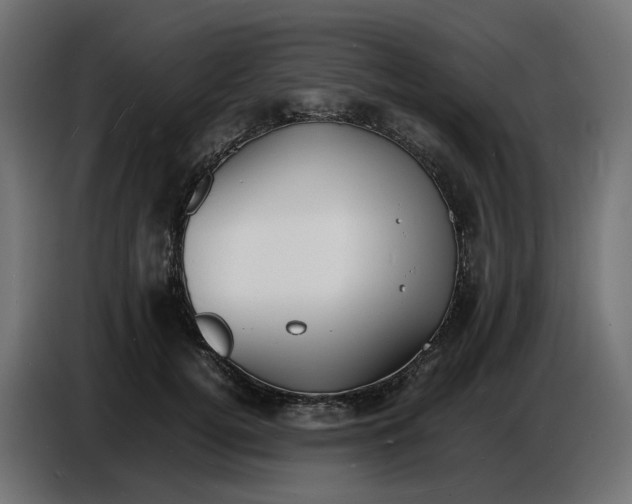 X0000086720752200705041327