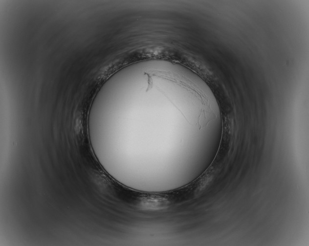X0000086720754200705041327