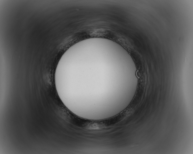 X0000086720755200705041327