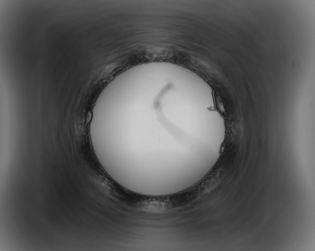 X0000086720756200705041327
